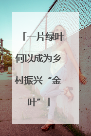一片绿叶何以成为乡村振兴“金叶”