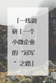 一线调研丨一个小微企业的“冠军”之路