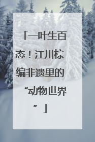 一叶生百态!江川棕编非遗里的“动物世界”