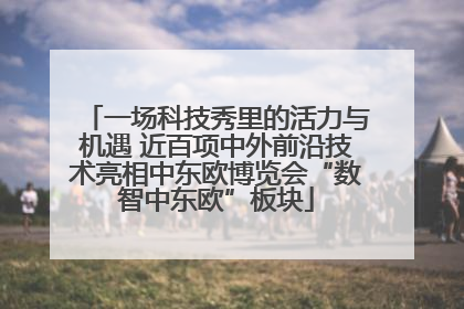 一场科技秀里的活力与机遇 近百项中外前沿技术亮相中东欧博览会“数智中东欧”板块