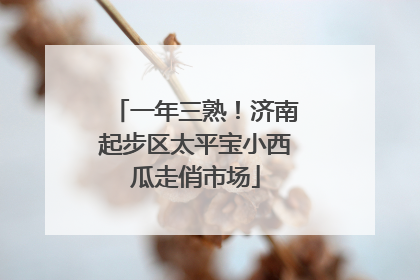 一年三熟！济南起步区太平宝小西瓜走俏市场