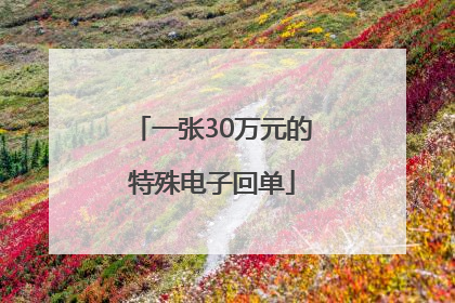 一张30万元的特殊电子回单