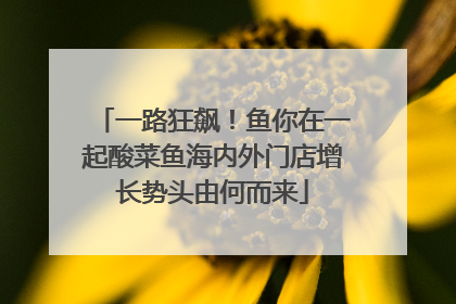 一路狂飙！鱼你在一起酸菜鱼海内外门店增长势头由何而来