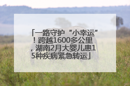 一路守护“小幸运”！跨越1600多公里，湖南2月大婴儿患15种疾病紧急转运