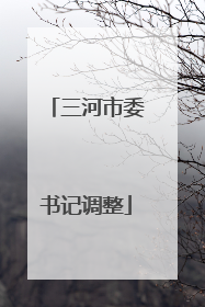 三河市委书记调整
