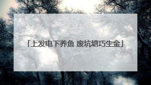 上发电下养鱼 废坑塘巧生金