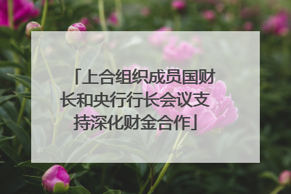 上合组织成员国财长和央行行长会议支持深化财金合作