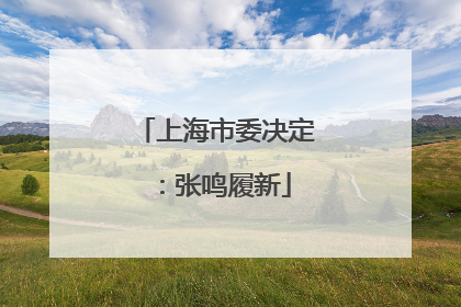 上海市委决定：张鸣履新