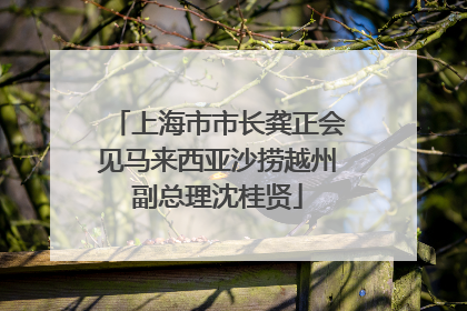 上海市市长龚正会见马来西亚沙捞越州副总理沈桂贤