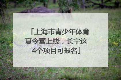 上海市青少年体育夏令营上线，长宁这4个项目可报名