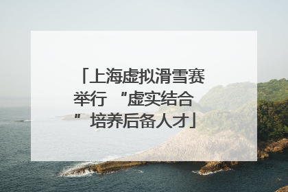 上海虚拟滑雪赛举行 “虚实结合”培养后备人才