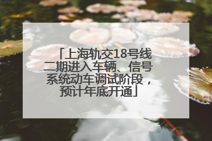 上海轨交18号线二期进入车辆、信号系统动车调试阶段，预计年底开通