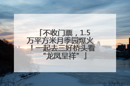 不收门票，1.5万平方米月季园爆火！一起去三好桥头看“龙凤呈祥”
