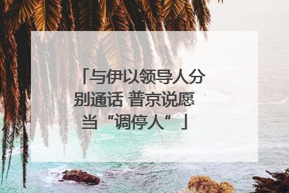 与伊以领导人分别通话 普京说愿当“调停人”