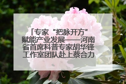 专家“把脉开方” 赋能产业发展——河南省首席科普专家胡华锋工作室团队赴上蔡合力助推食用菌产业振兴