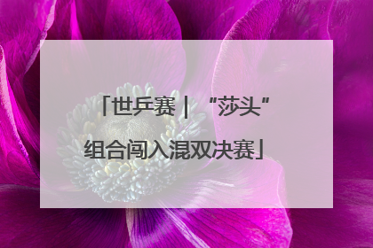 世乒赛｜“莎头”组合闯入混双决赛