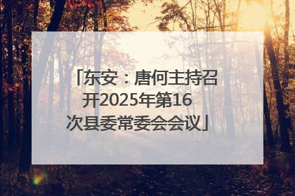 东安：唐何主持召开2025年第16次县委常委会会议