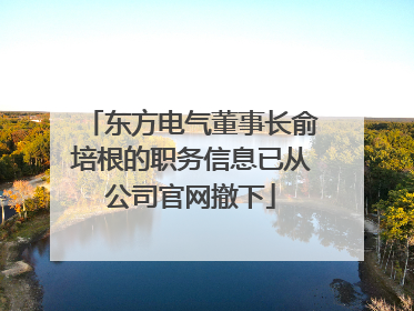 东方电气董事长俞培根的职务信息已从公司官网撤下