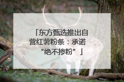 东方甄选推出自营红薯粉条：承诺“绝不掺粉”