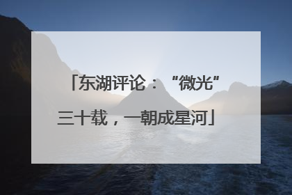 东湖评论：“微光”三十载，一朝成星河