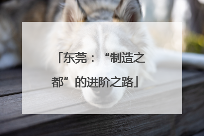 东莞：“制造之都”的进阶之路
