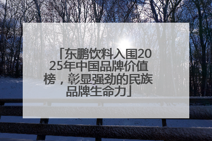 东鹏饮料入围2025年中国品牌价值榜，彰显强劲的民族品牌生命力