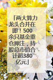 两大算力龙头合并在即！500余只基金重仓押注，持股总市值合计超380亿元