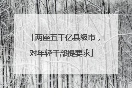 两座五千亿县级市，对年轻干部提要求