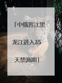 中俄界江黑龙江进入35天禁渔期