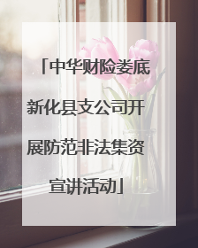 中华财险娄底新化县支公司开展防范非法集资宣讲活动