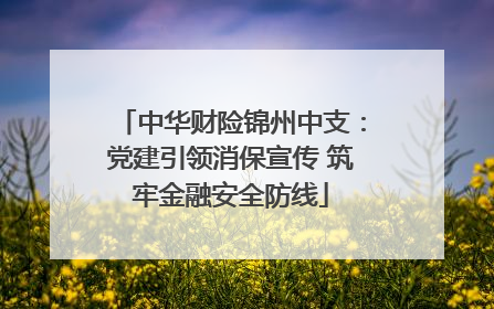 中华财险锦州中支：党建引领消保宣传 筑牢金融安全防线