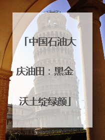 中国石油大庆油田：黑金沃土绽绿颜