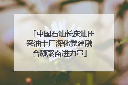 中国石油长庆油田采油十厂深化党建融合凝聚奋进力量