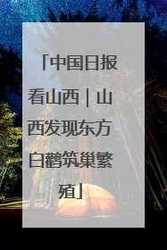 中国日报看山西｜山西发现东方白鹳筑巢繁殖