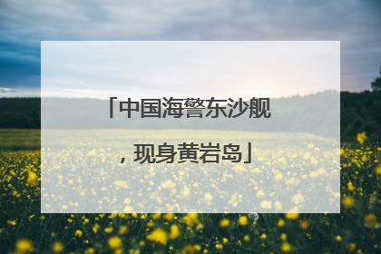 中国海警东沙舰，现身黄岩岛