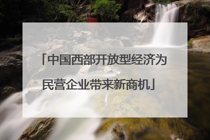 中国西部开放型经济为民营企业带来新商机
