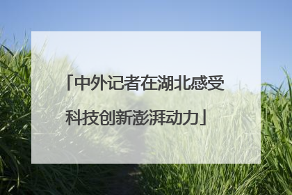 中外记者在湖北感受科技创新澎湃动力