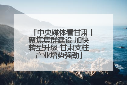 中央媒体看甘肃丨聚焦集群建设 加快转型升级 甘肃支柱产业增势强劲