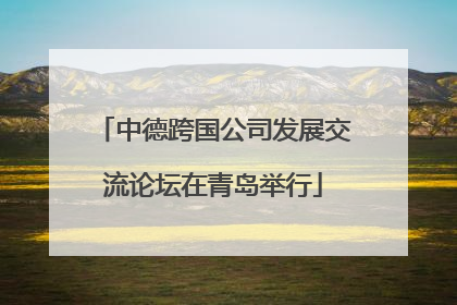 中德跨国公司发展交流论坛在青岛举行