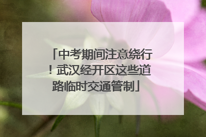 中考期间注意绕行！武汉经开区这些道路临时交通管制