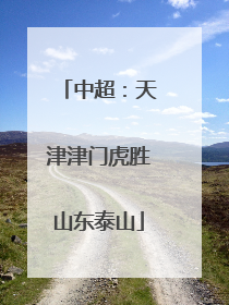 中超：天津津门虎胜山东泰山