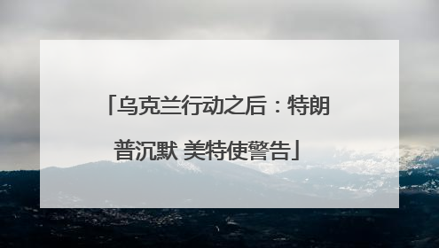 乌克兰行动之后：特朗普沉默 美特使警告