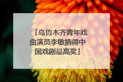 乌鲁木齐青年戏曲演员李敏摘得中国戏剧最高奖