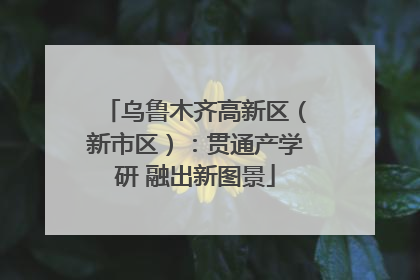 乌鲁木齐高新区（新市区）：贯通产学研 融出新图景