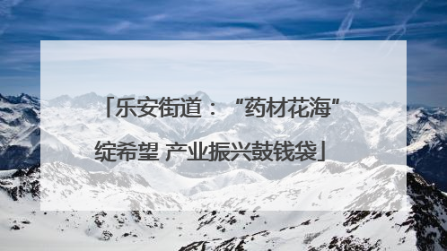 乐安街道：“药材花海”绽希望 产业振兴鼓钱袋