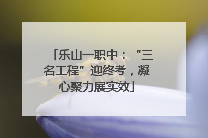 乐山一职中：“三名工程”迎终考，凝心聚力展实效