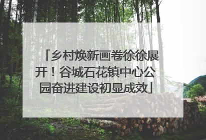 乡村焕新画卷徐徐展开！谷城石花镇中心公园奋进建设初显成效