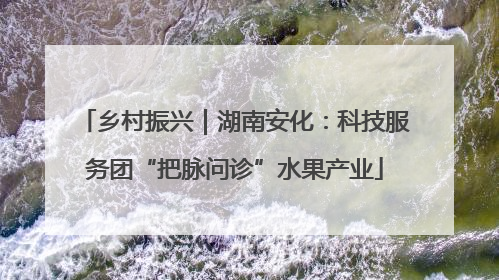 乡村振兴｜湖南安化：科技服务团“把脉问诊”水果产业