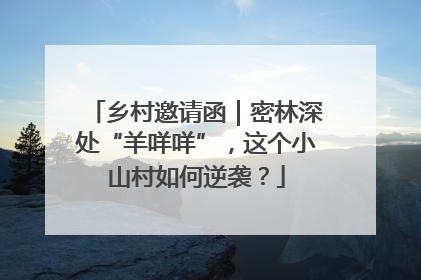 乡村邀请函｜密林深处“羊咩咩”，这个小山村如何逆袭？