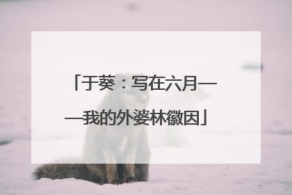 于葵：写在六月——我的外婆林徽因